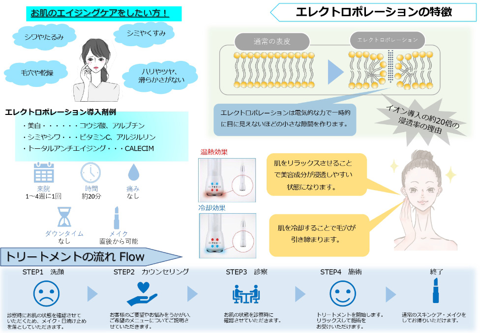 エレクトロポレーションの特徴
